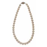 Perlenkette bestehend aus 42 chinesischen Zuchtperlen, Silber-Magnetschließe