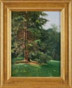 Gemälde Paul von Ravenstein 1854 Breslau - 1938 Karlsruhe "Waldwiese mit Tannen" 1898 Öl/Lwd., 54