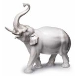 Schreitender Elefant, Meissen 1945-46. Entw. Erich Oehme. Weiß glasiert. In Schrittstellung, d.