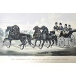 Cameron, J. Eine Darstellung. "The celebrated 'Four in hand' Stallion team." Kolorierte Lithographie