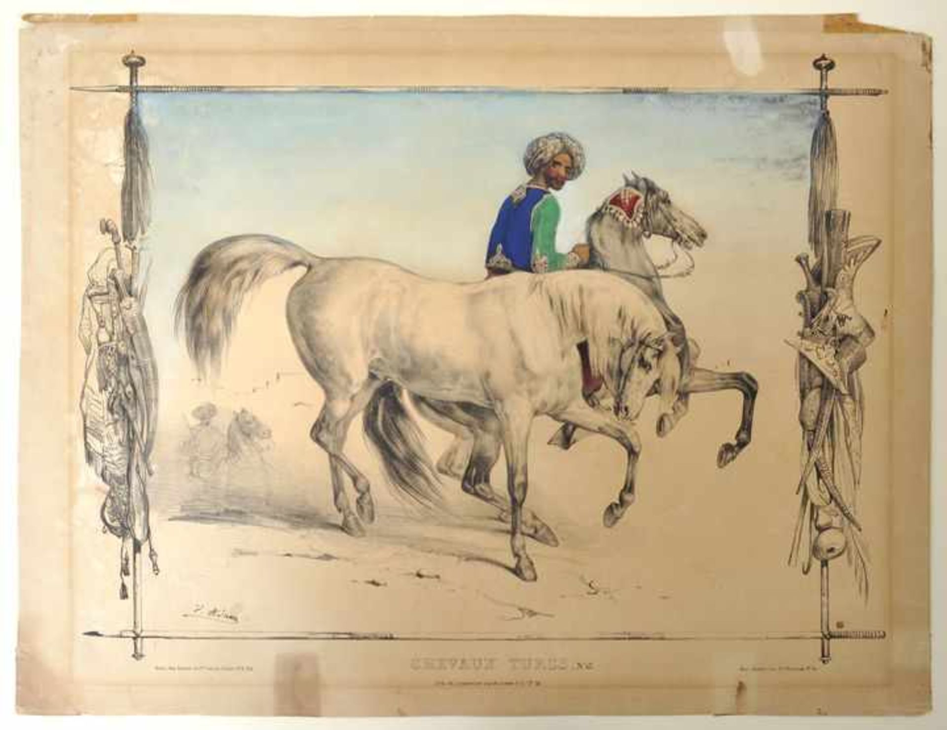 Pferdedarstellungen. Neun Blatt. Konvolut von neun teils kolorierten Lithographien mit Darstellungen