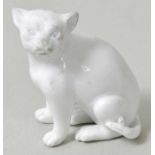 Tierminiatur kleine Katze, Meissen, 18. Jh. Porzellan, weiß. Unbekannter Modelleur.