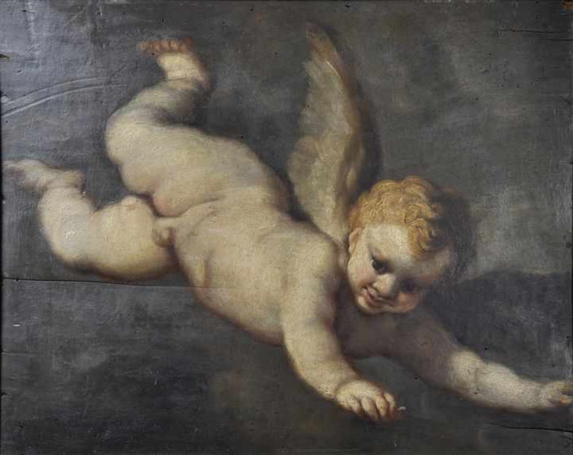 Allegri, Pomponio. 1521 Corregio-nach 1590 tätig in Parma Fliegender Putto. Öl auf Holztafel,
