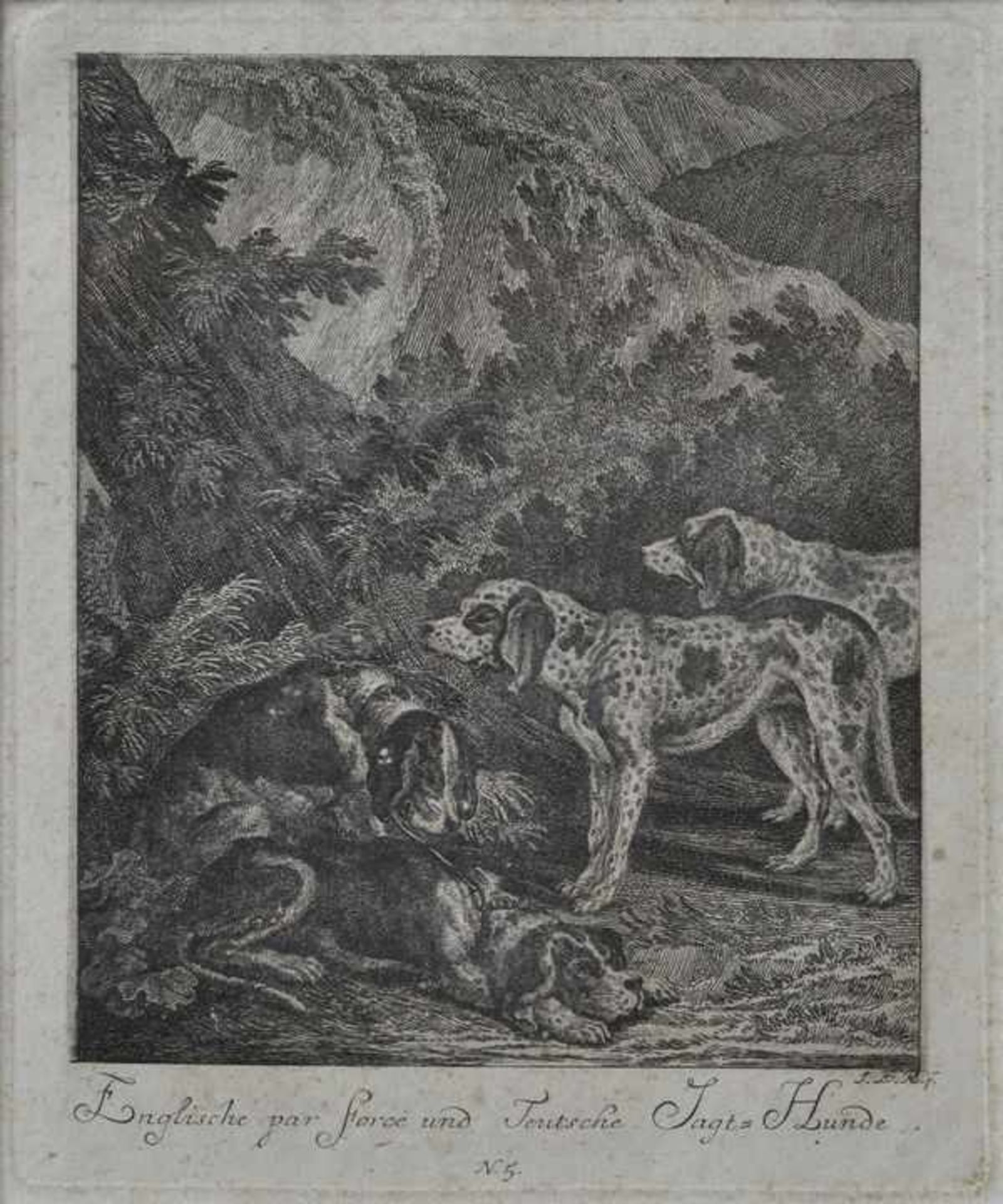 Ridinger, Johann Elias. 1698 Ulm-1767 Augsburg "Englische par force und Teutsche Jagt-Hunde".