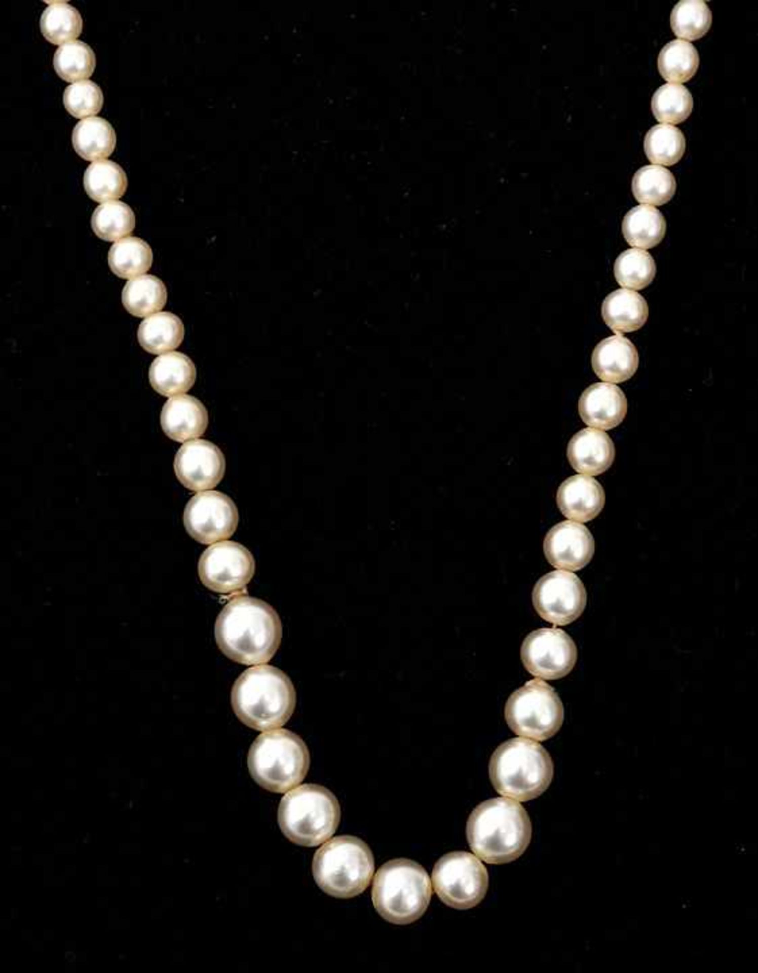 Perlenkette, um 1900/ 1920Einreihiges Colier von sehr schönen und gleichmäßigen altweißen bis
