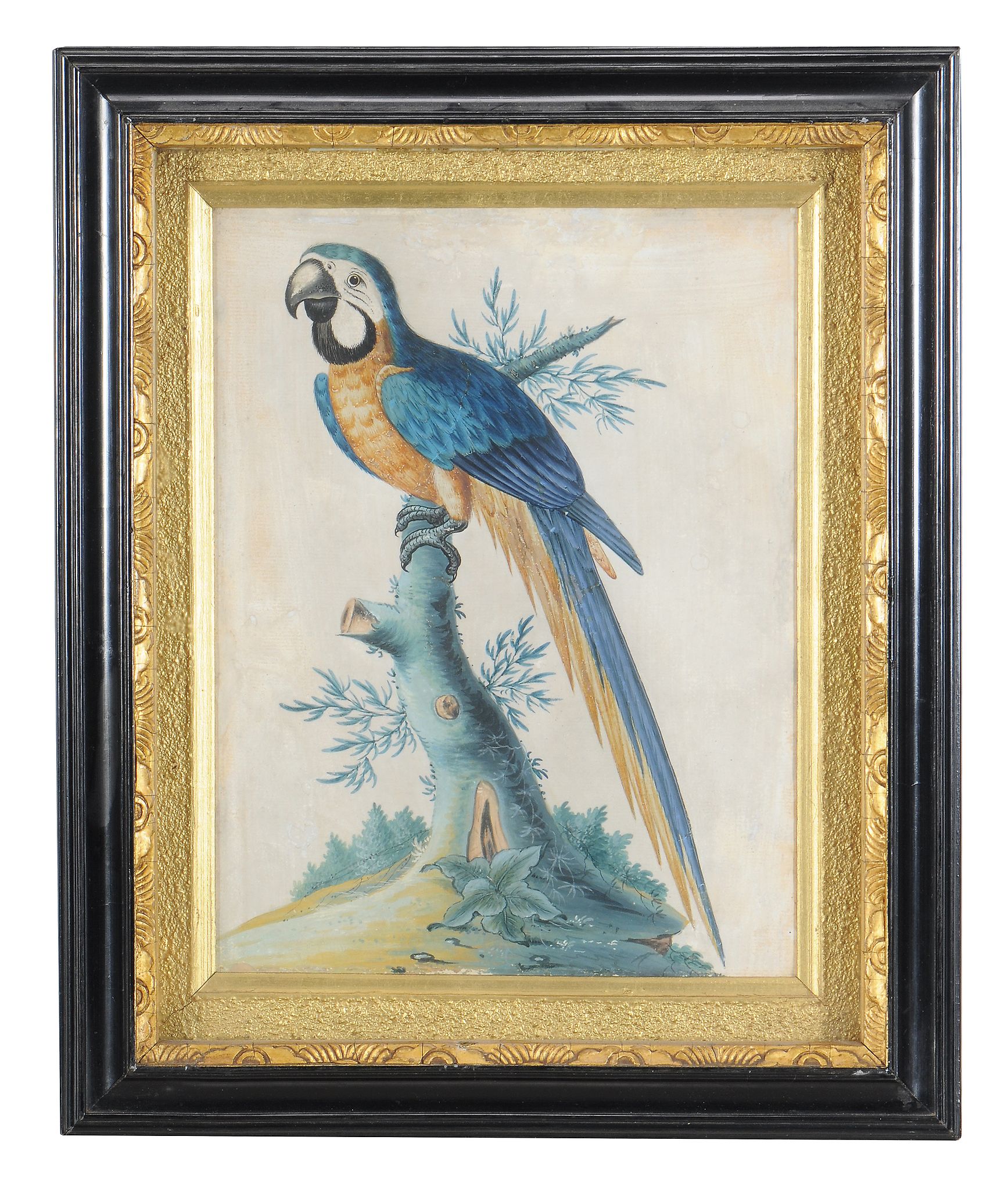 Attributed to Samuel Dickson (Irish fl.1748-1769), Four exotic birds - Image 5 of 6