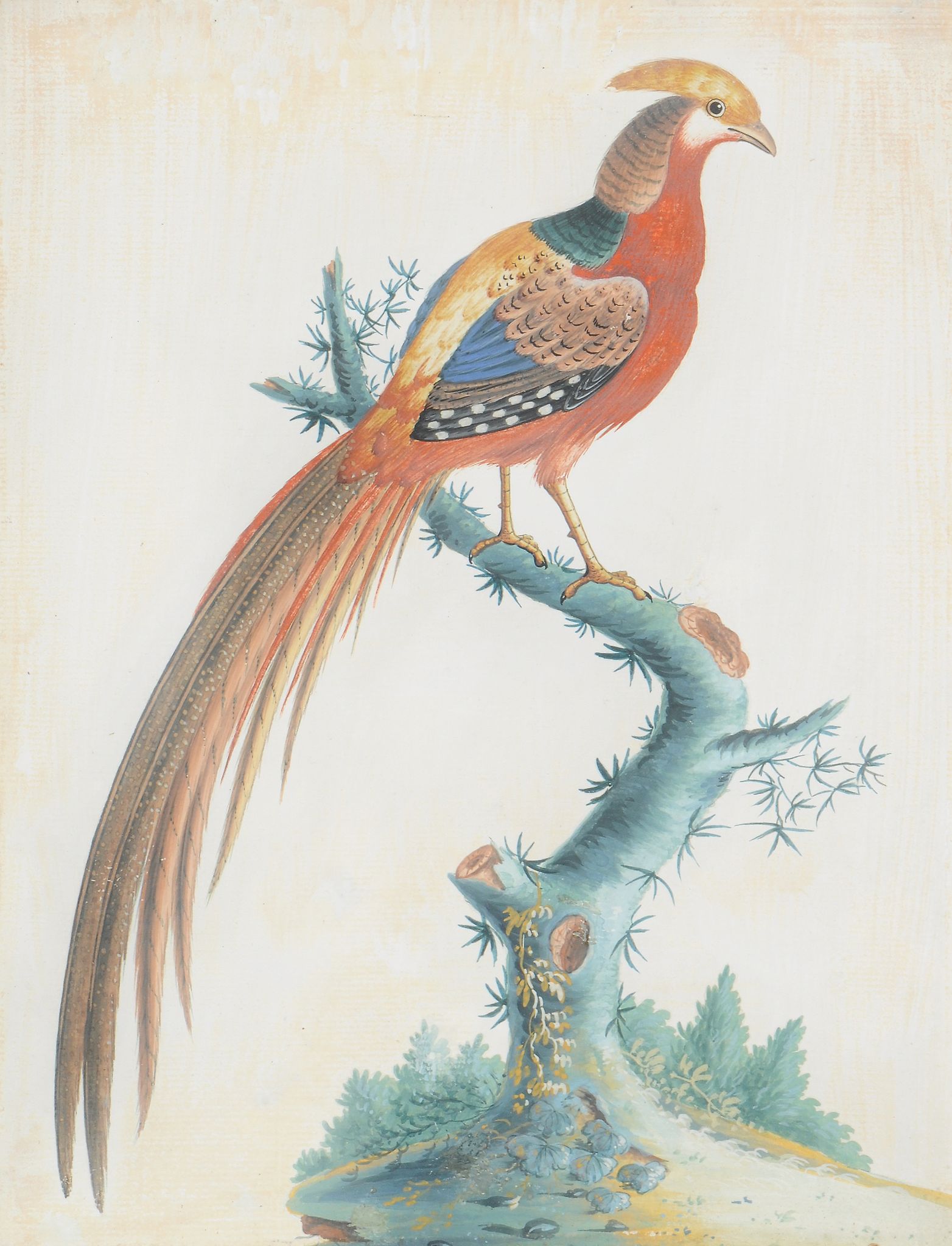 Attributed to Samuel Dickson (Irish fl.1748-1769), Four exotic birds