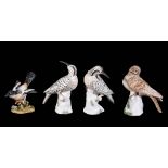 Four various Crown Staffordshire models of birds, 20th century