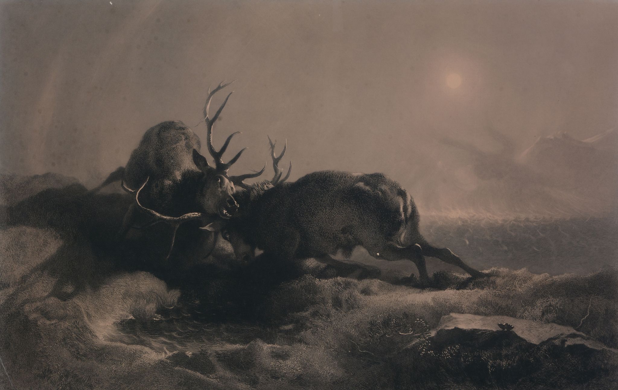 After Sir Henry Edwin Landseer, R.A. - Night, Morning The pair Stags fighting by moonlight beside - Image 5 of 8