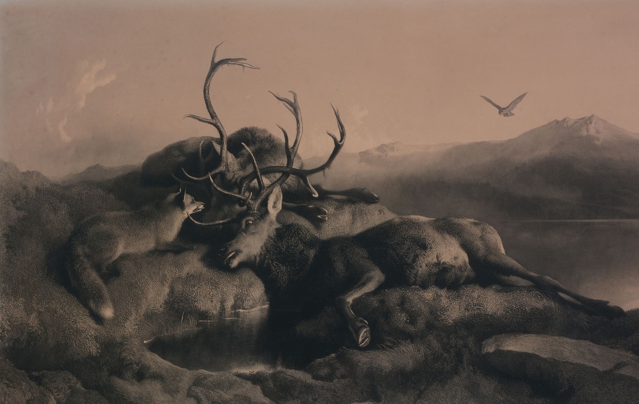 After Sir Henry Edwin Landseer, R.A. - Night, Morning The pair Stags fighting by moonlight beside - Image 7 of 8