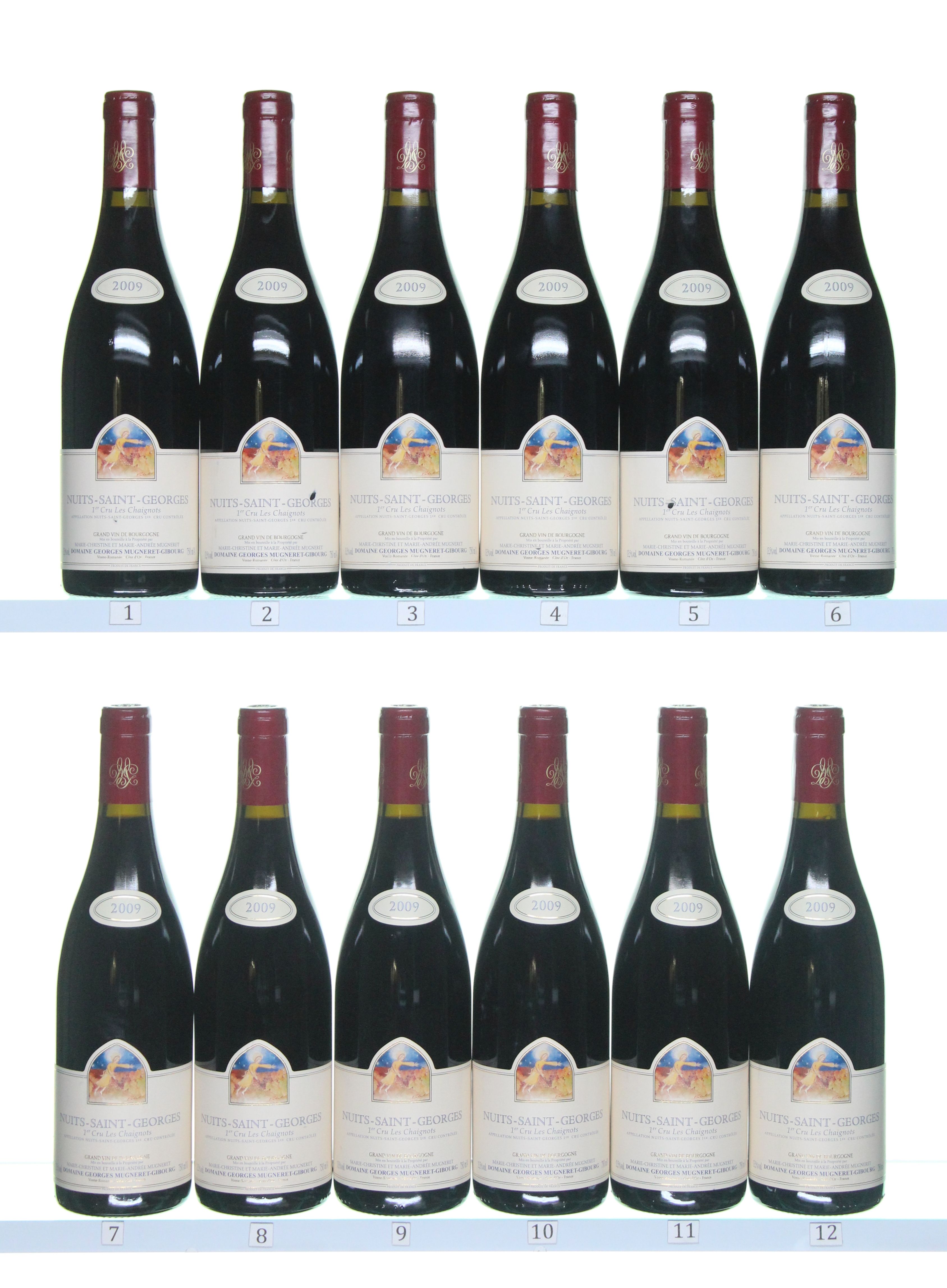 2009 Nuits St Georges