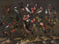 Attributed to Charles Collins (British c1680-1744) Study of birds, flowers and insects.