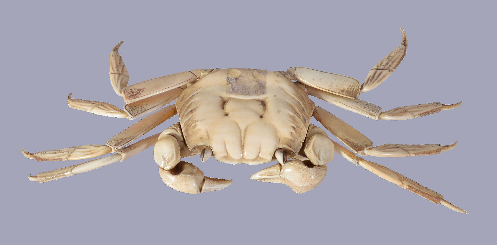 Y A Japanese articulated Ivory model of a Crab