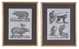 After Benard , A set of fifteen gilt framed bookplate engravings, entitled Histoire Naturelle,