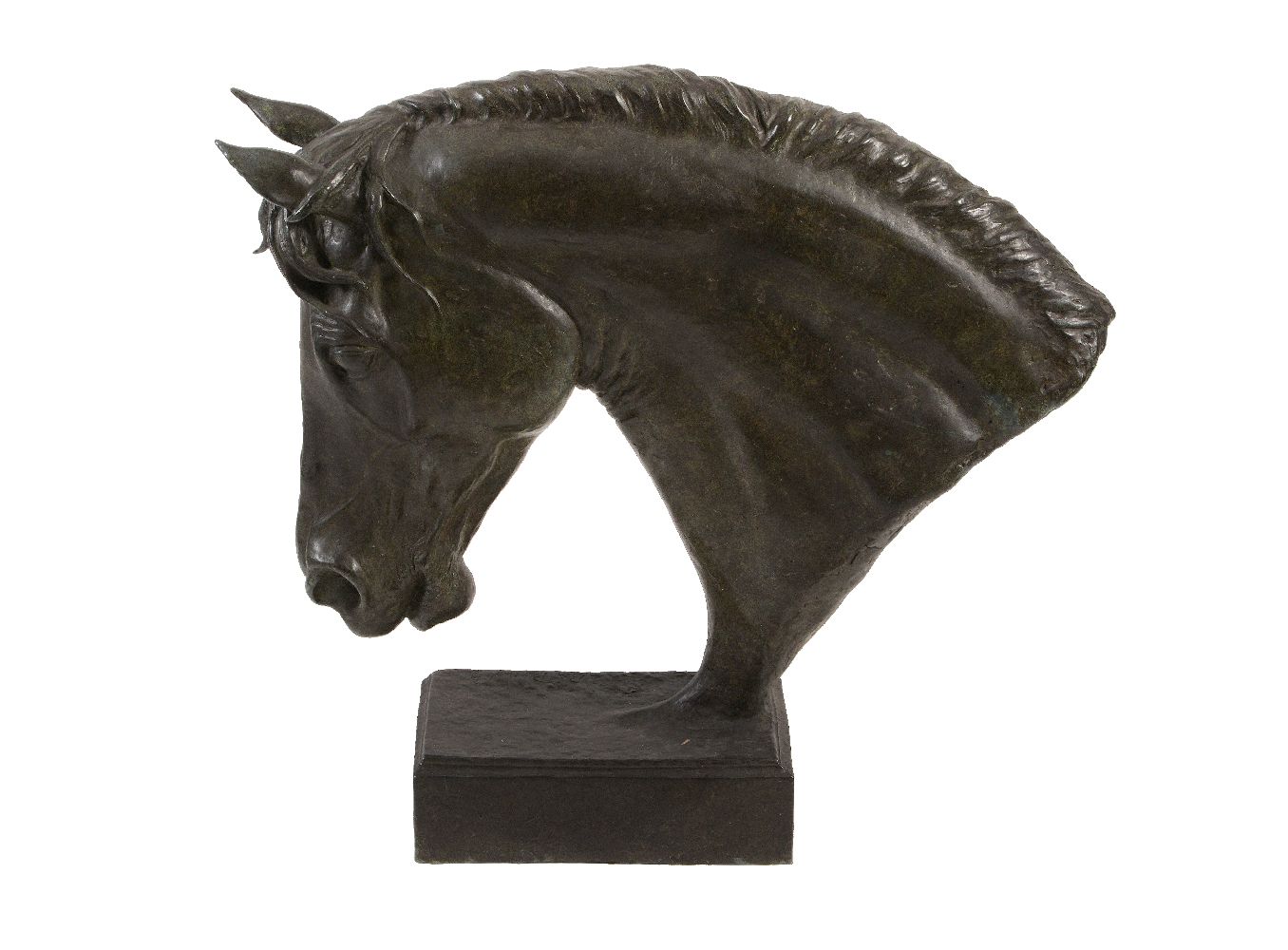 λ Ben Panting, (British b. 1964), Repose, a patinated bronze model of the head of a horse - Image 5 of 6