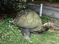 A substantial cast iron fountain modelled as a giant tortoise, last quarter 20th century,