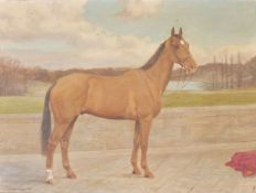 λ Frances Mabel Hollams (British 1877-1963) A Bay horse with a white sock Oil on canvas