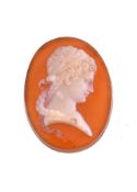 A 19th century unmounted hardstone cameo, the oval hardstone panel carved with the profile of a lady