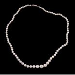 A cultured pearl single strand necklace, composed of graduating 3mm to 7mm cultured pearls, on a