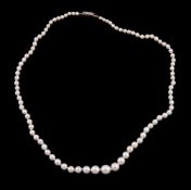 A cultured pearl single strand necklace, composed of graduating 3mm to 7mm cultured pearls, on a