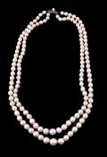 A mid 20th century two strand cultured pearl necklace by Mikimoto, the two strands composed of