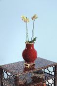 A Chinese sang-de-boeuf glazed porcelain and gilt metal mounted vase