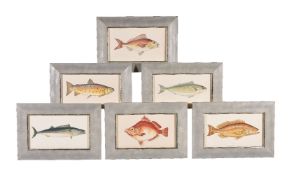 A set of twelve prints of fish after Jonathan Couch (British