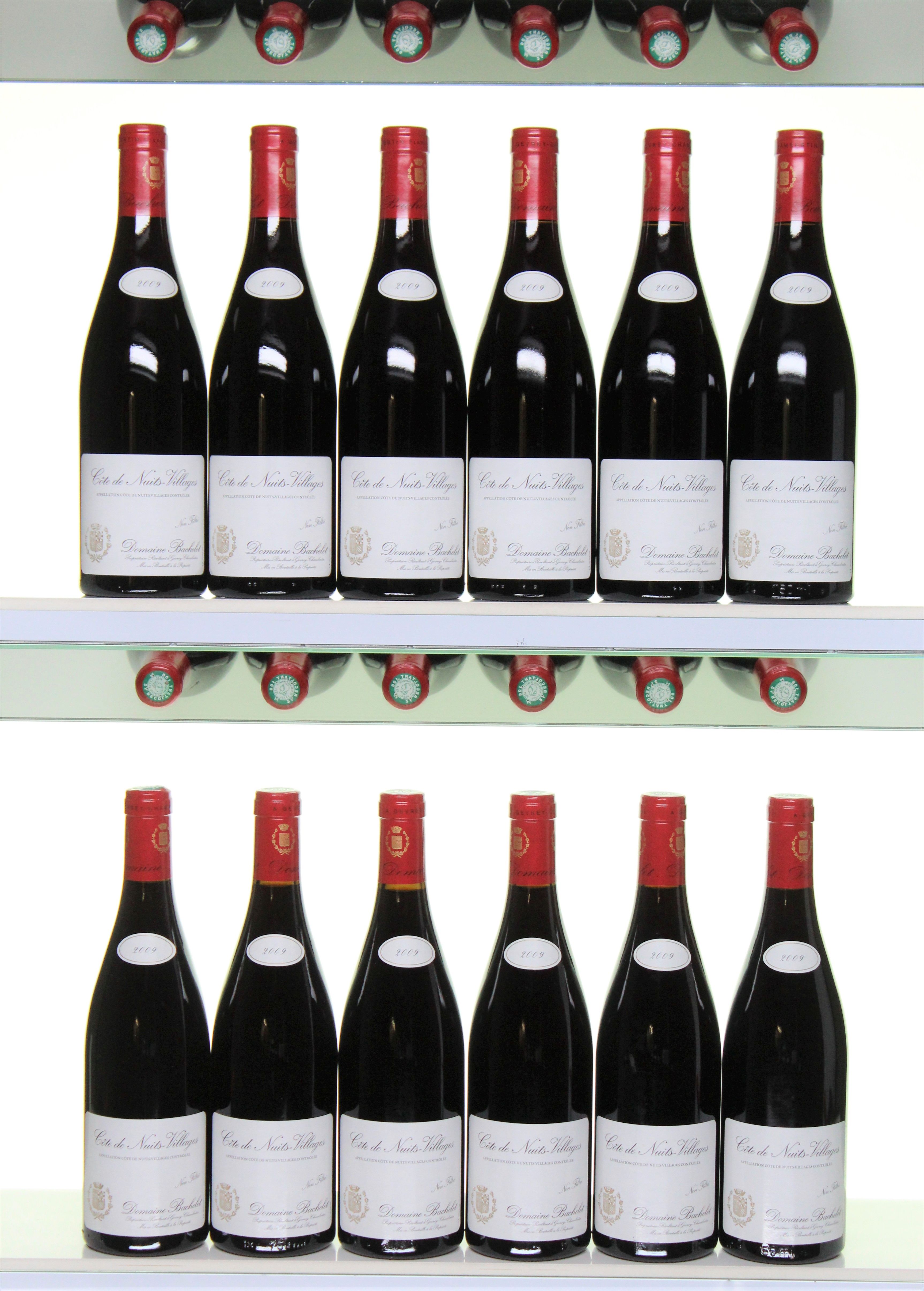 2009 Cotes de Nuits Villages, Domaine Bachelet