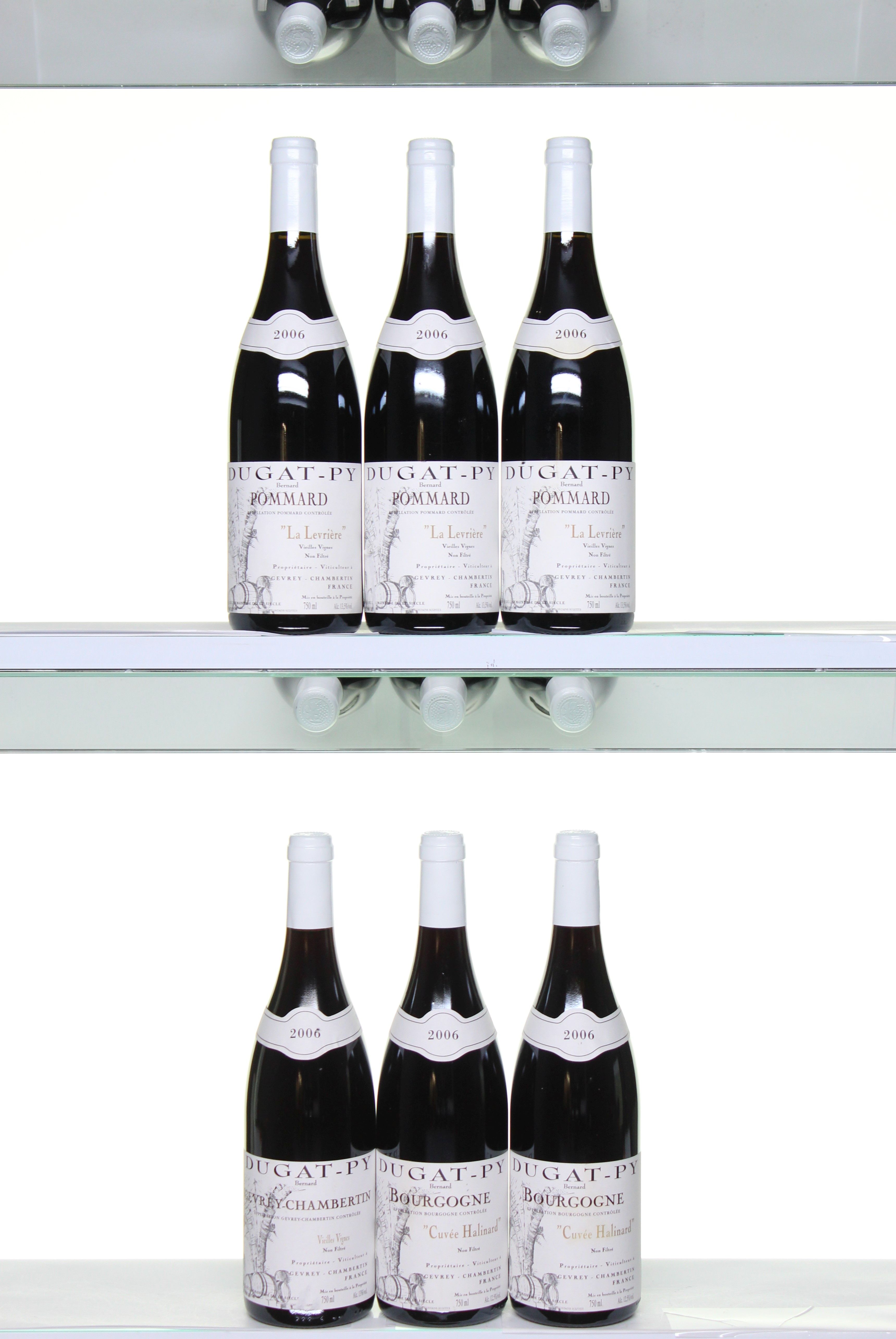 Domaine Dugat-Py - Mixed Case