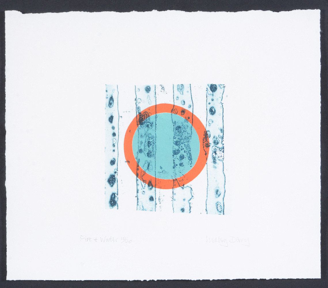 Lesley Davy (British b.1953)Fire + WaterRelief print in coloursSigned in pencil - Image 2 of 3