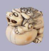 ϒ A Japanese Ivory Netsuke of a Shishi