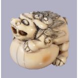 ϒ A Japanese Ivory Netsuke of a Shishi