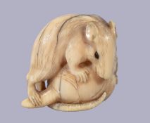 ϒ Hogen Rantei: A Japanese Netsuke of a rat climbing upon a sprouting vegetable