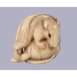 ϒ Hogen Rantei: A Japanese Netsuke of a rat climbing upon a sprouting vegetable