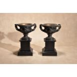 A pair of Continental patinated bronze models after the Warwick Vase