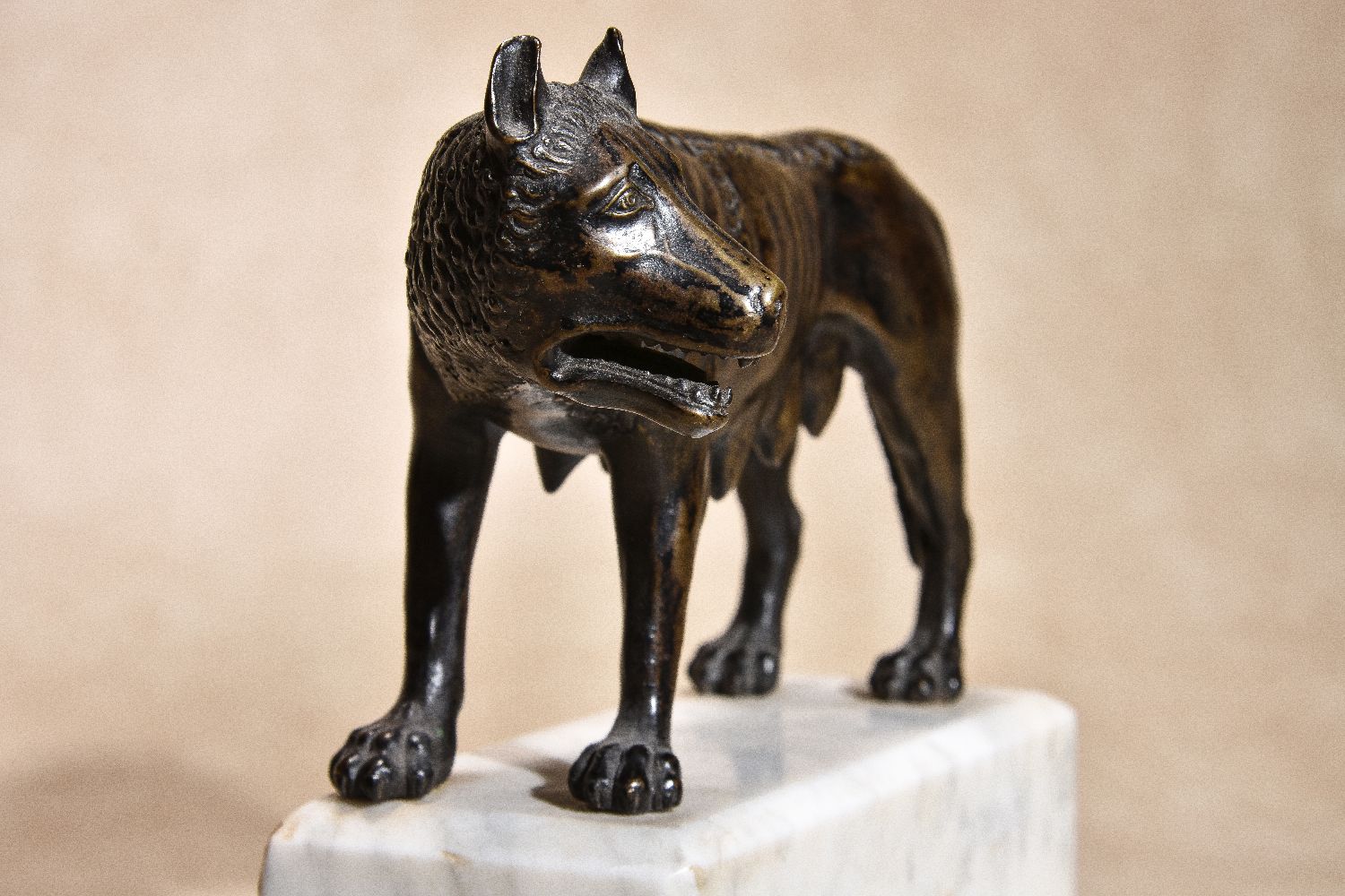 An Italian patinated bronze model of the Roman she-wolf - Image 4 of 4