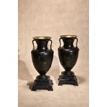 A pair of Continental patinated bronze and marble mounted twin handled urns in Neoclassical taste