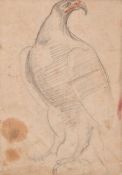 Continental School (circa 1700)Study of an eagle; Red chalk study of hands (verso)