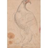 Continental School (circa 1700)Study of an eagle; Red chalk study of hands (verso)