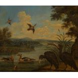 Follower of Marmaduke Cradock (British 1660-1716)Birds by a river; Peacock and other birds in a land