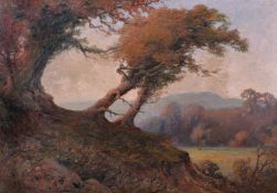 English School (c.1900)Autumnal landscape