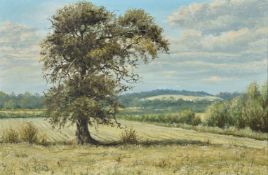 ϒ Mervyn Goode (British b. 1948)Summer Oak Oil on artist's board Signed and dated 1974 lower right