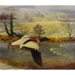 Raymond C Booth (British 1929-): Mallard in Flight over Winter Landscape,