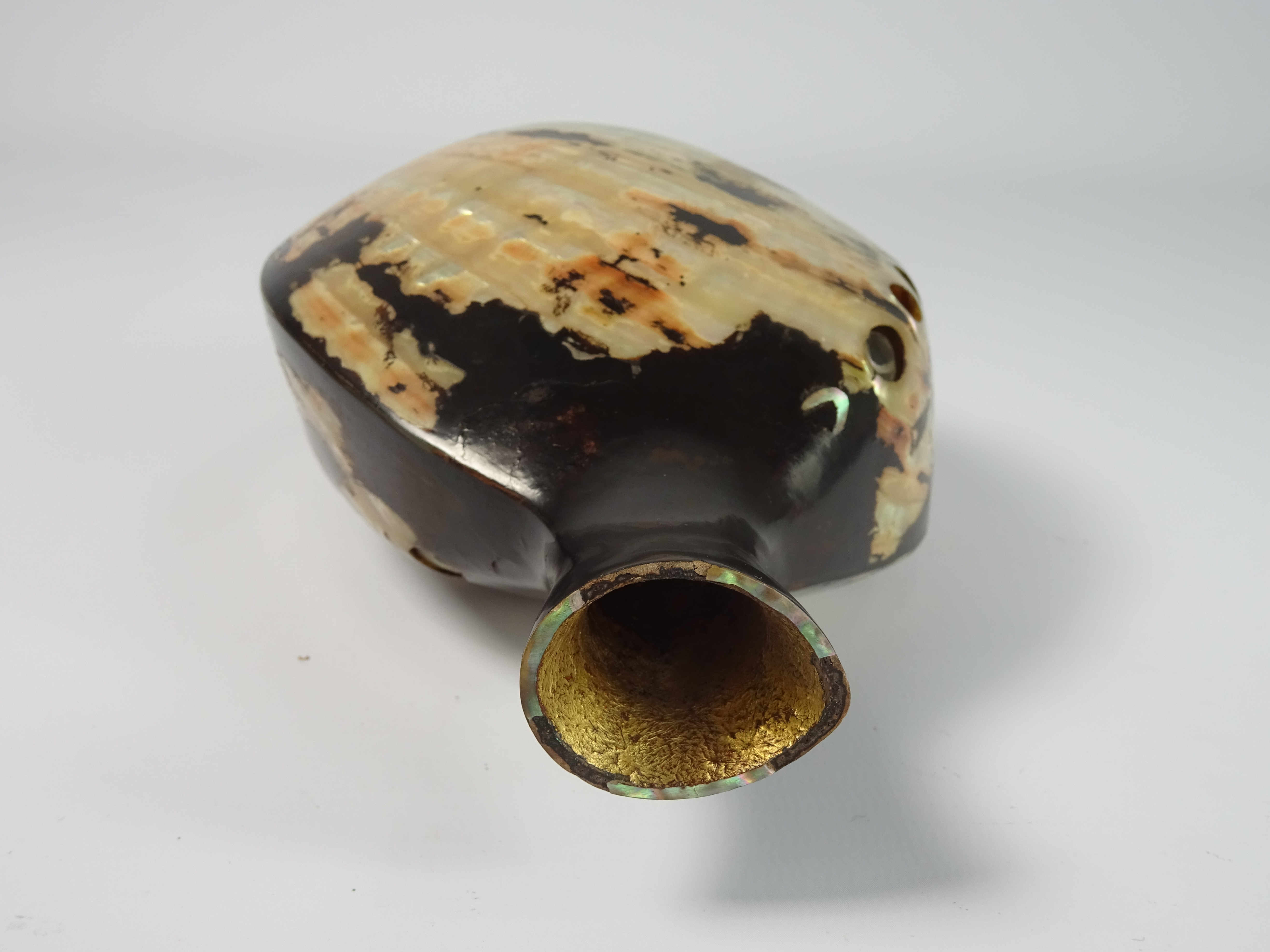 19th Century Japanese Sake Bottle in the form of a lacquered Haleotis shell 17cm high. - Image 4 of 4