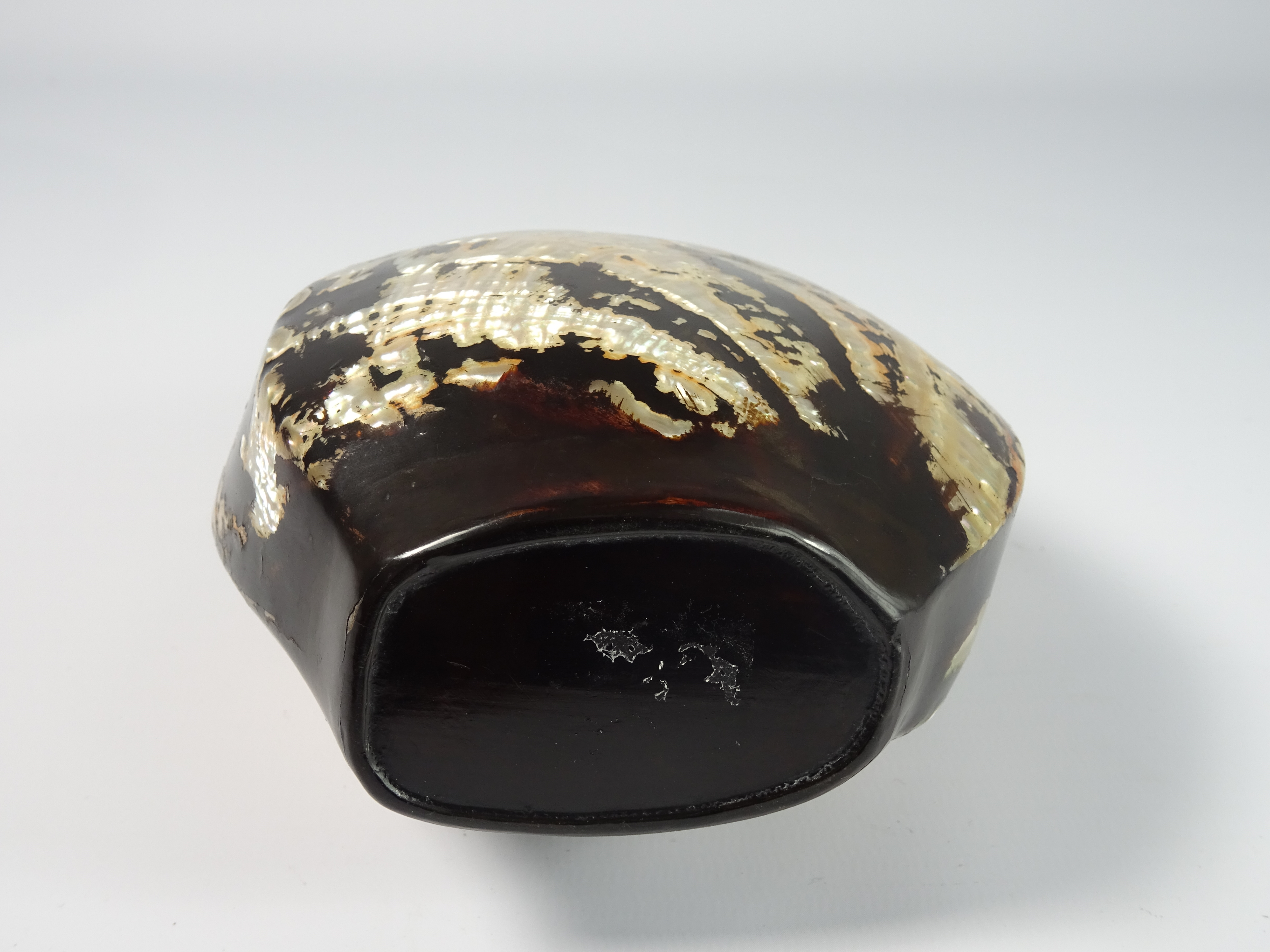 19th Century Japanese Sake Bottle in the form of a lacquered Haleotis shell 17cm high. - Image 3 of 4