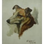 Alfred Schollaert (Belgian 1905-1987): Study of a Collie Dog, oil on board signed and dated 1947,