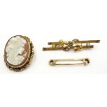 9ct Gold Brooch with a cameo panel,