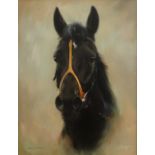 Jacqueline Stanhope (Scottish 1963-): Study of the Racehorse 'Back in Front' oil on canvas signed