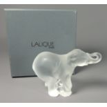 Modern Lalique frosted glass model of an elephant with etched mark to base,