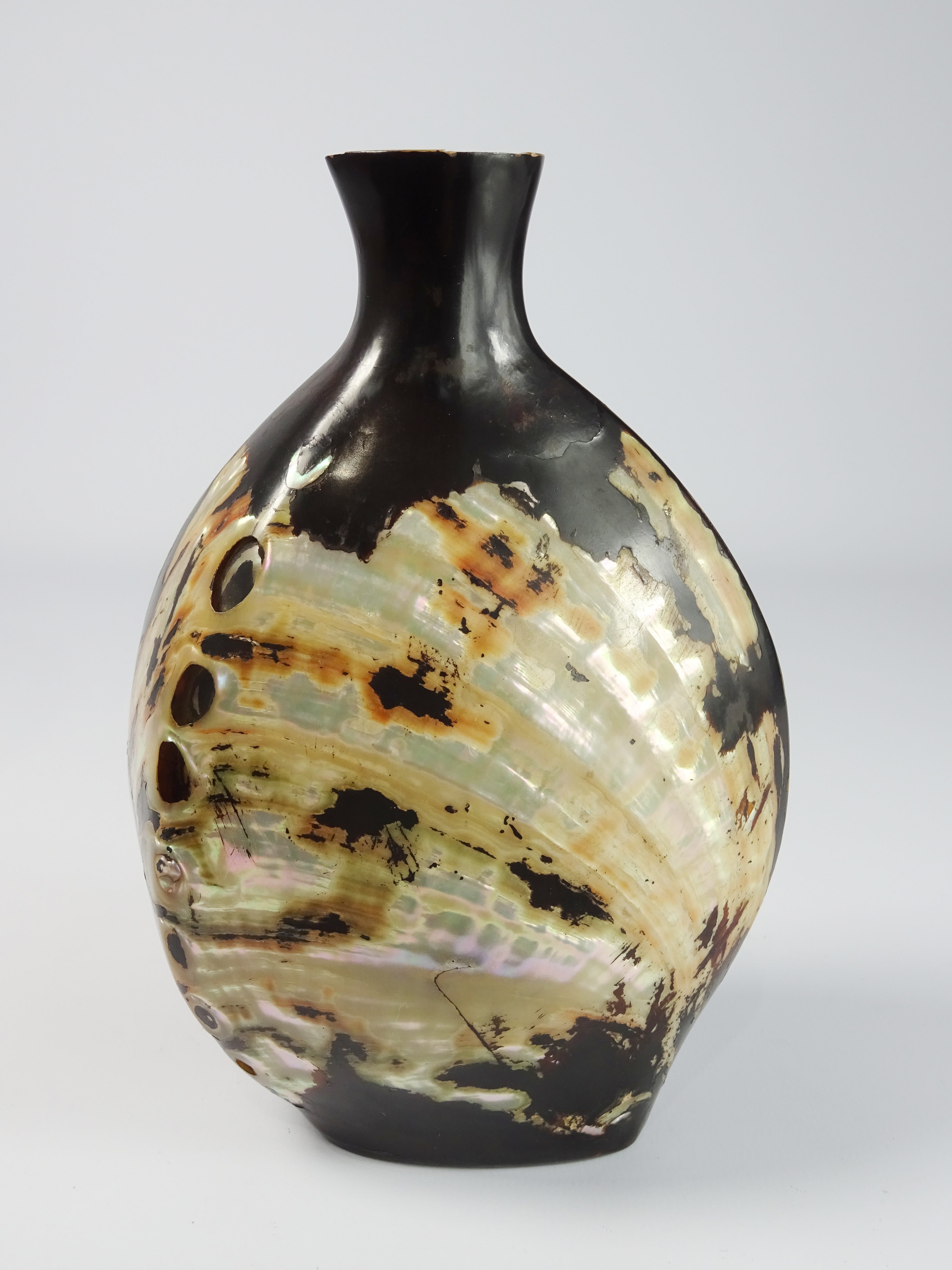 19th Century Japanese Sake Bottle in the form of a lacquered Haleotis shell 17cm high.